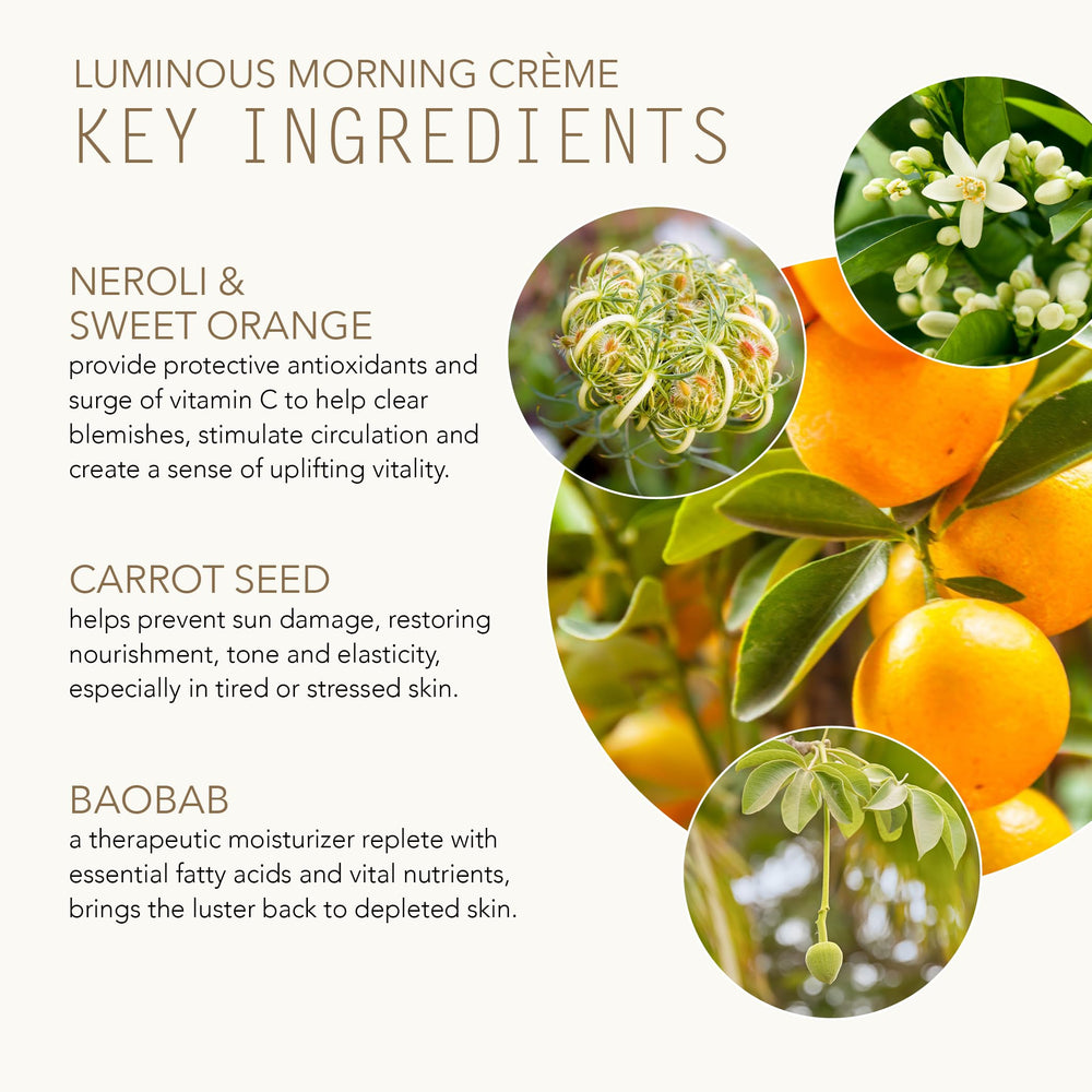 Tammy Fender Luminous Morning Creme packaging highlights clean, plant-based skincare.