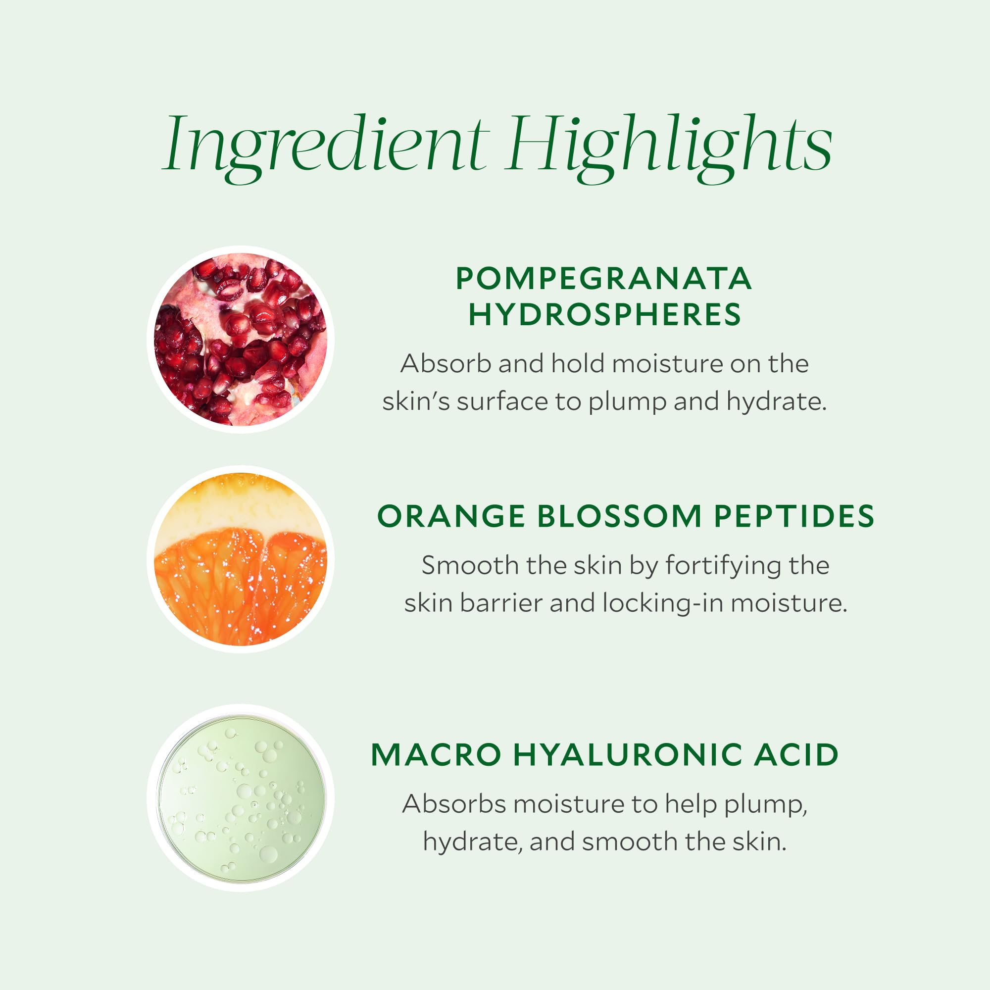 Macro hyaluronic acid detail in Tata Harper Water-Lock formula.