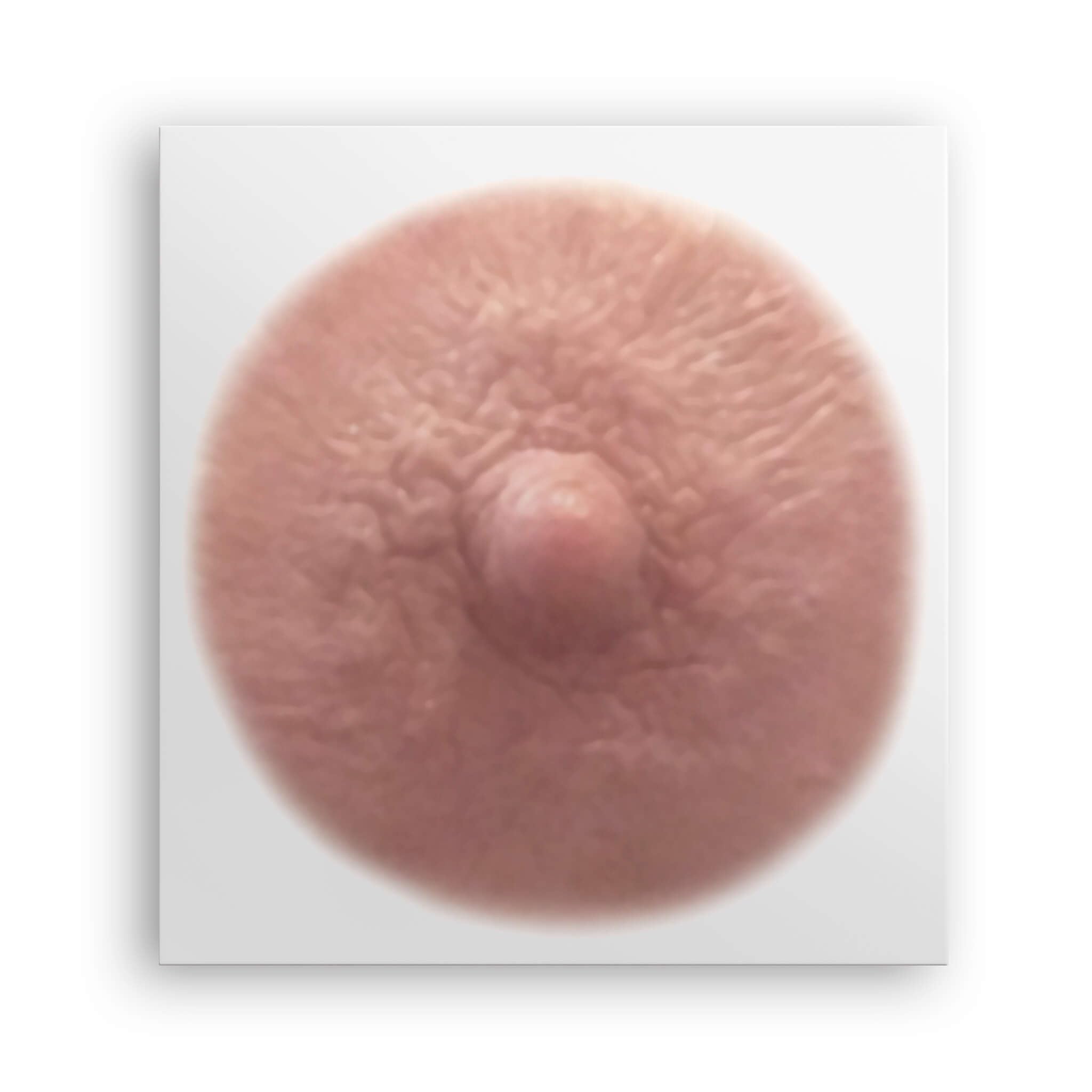 TataTattoos ivory shade pack-10 provides a natural look for post-surgery coverage
