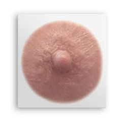 TataTattoos ivory shade pack-10 provides a natural look for post-surgery coverage