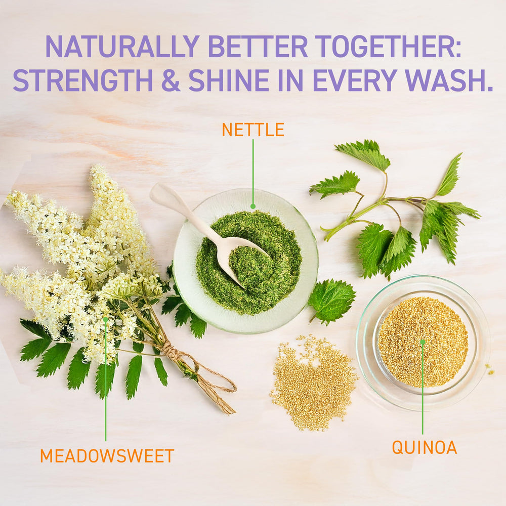 TBH two-bottle pack on vanity showing family-friendly hair care routine