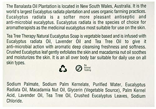 Tea Tree Therapy eucalyptus bar soap 2-pack packaging shows plant-based formula and value