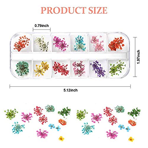 Teenitor 3D nail art stickers with starry leaves for dimensional accents.