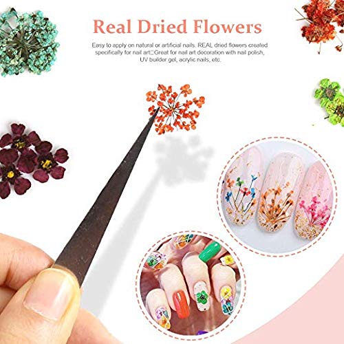 Teenitor colorful dried flower collection expands DIY projects.