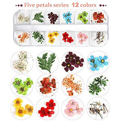 Teenitor large dried flowers for accent nail designs and crafts.
