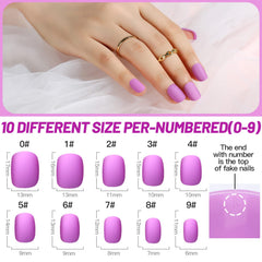 Teenitor matte nails color collection with 12 options for versatile looks.
