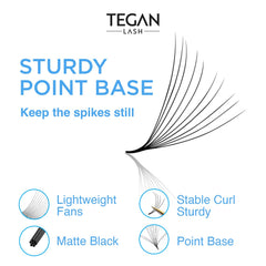 TEGAN LASH 500 curl types C CC D provide natural to dramatic lift.
