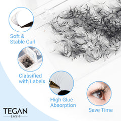 TEGAN LASH organized fans by size for quick, precise application.
