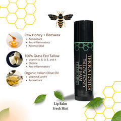 Terra Lotus lip balm close-up texture showing creamy nourishment for lips.