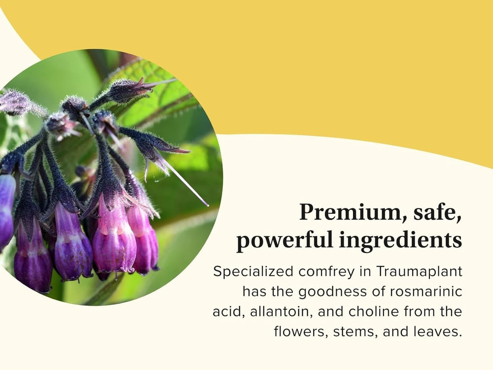 Family-friendly Traumaplant Comfrey Cream in a home setting