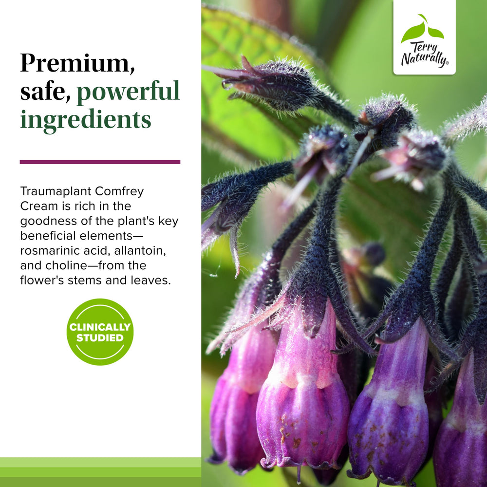 Terry Naturally Traumaplant two-pack displays value and family-friendly convenience.