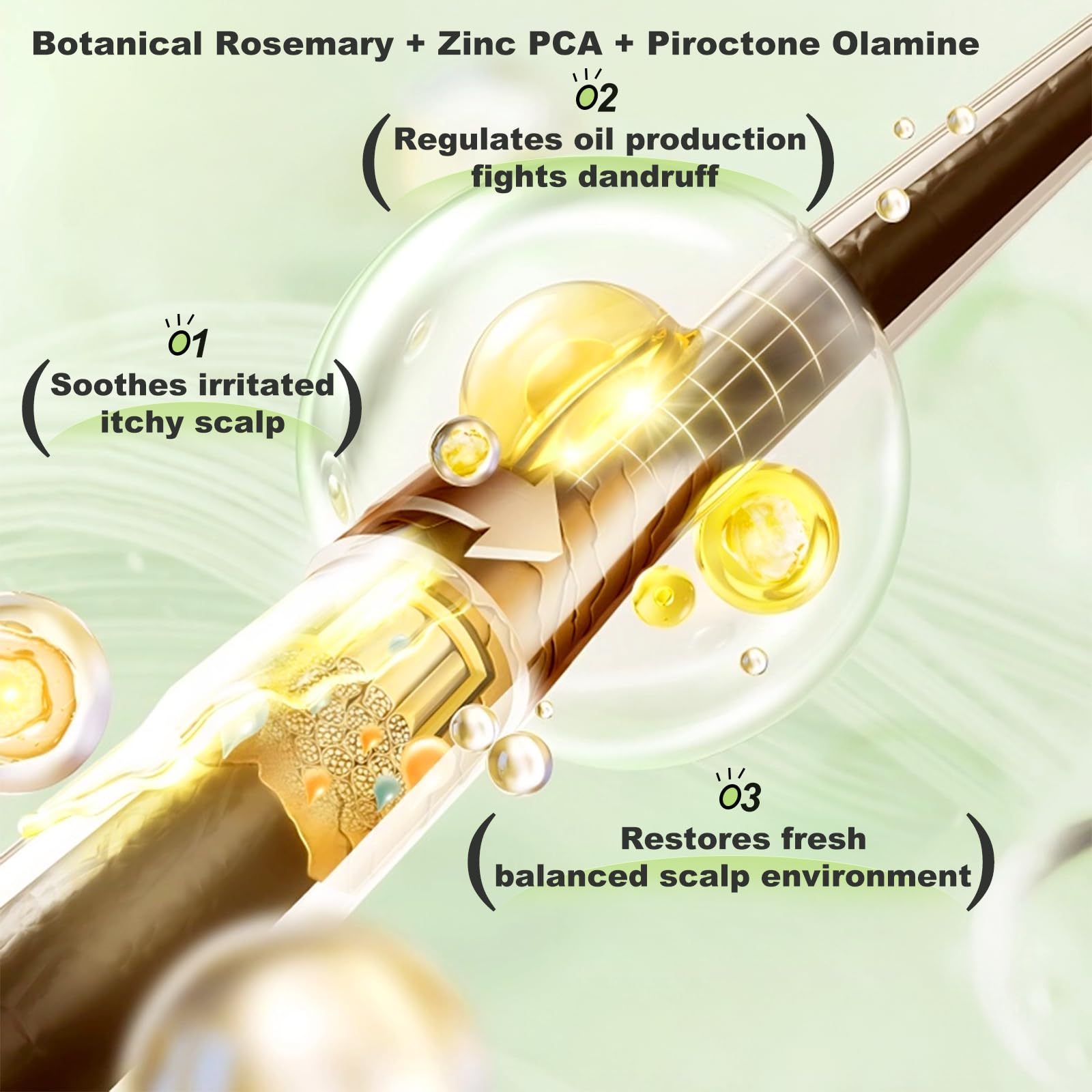 Tgideas Rosemary Amino Acid Shampoo scalp illustration suggests root vitality