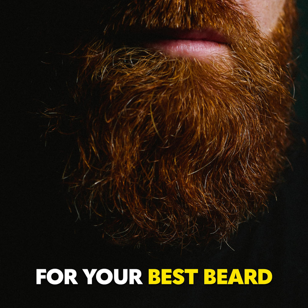 The Beard Club grooming routine visuals for daily care.