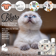 The Blissful Cat Nose Butter ingredients label highlights all-natural butters and oils.