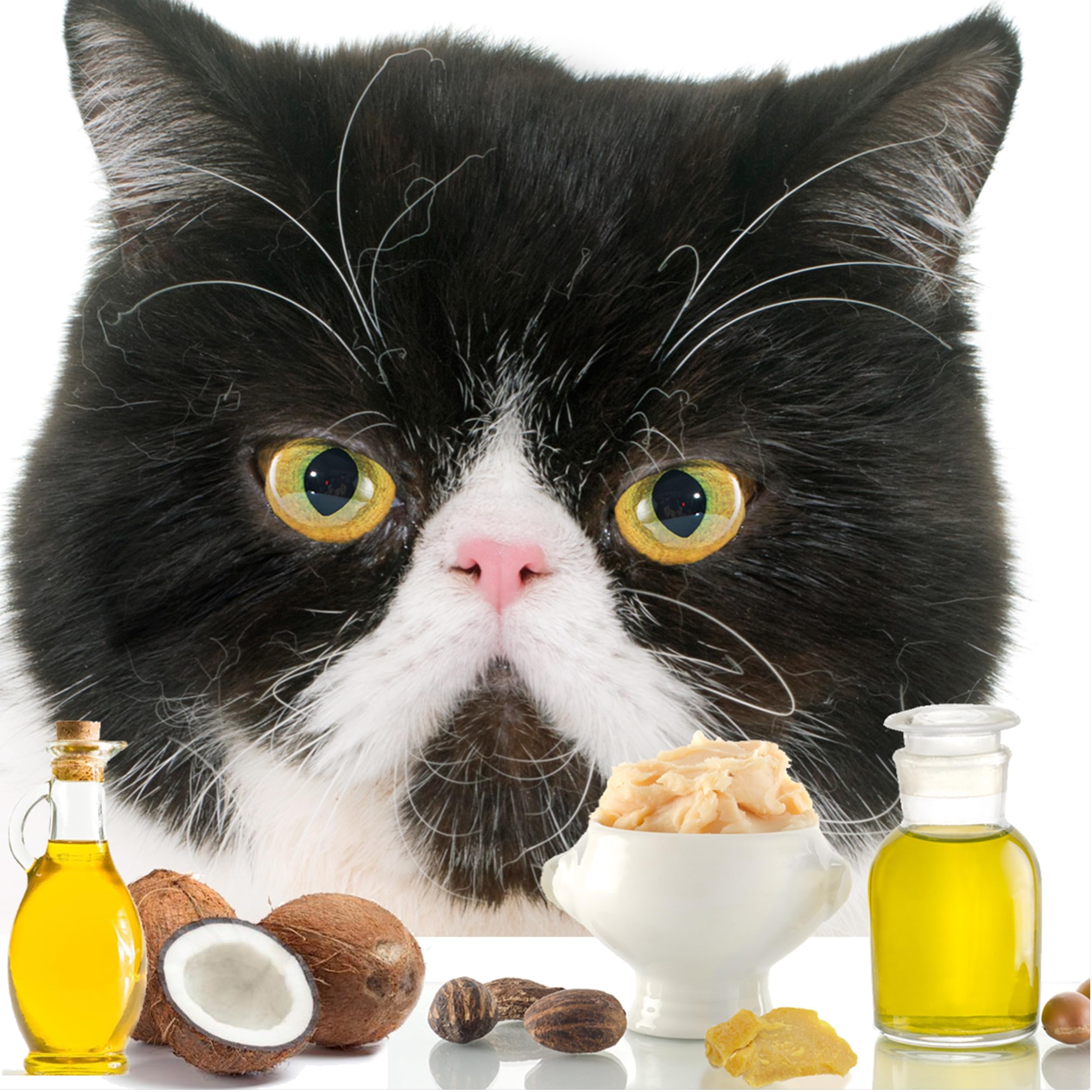 The Blissful Cat Nose Butter packaging on shelf signals thoughtful design.