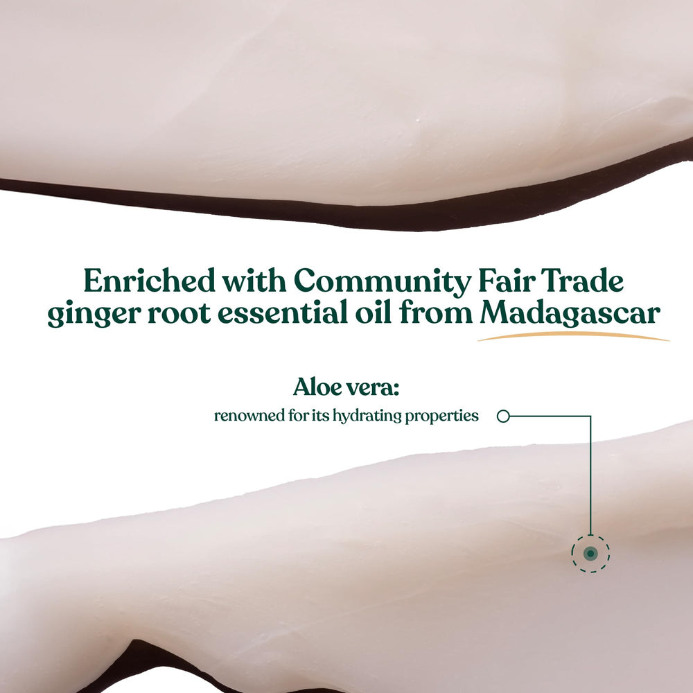 Close-up of ginger, birch bark, and white willow bark ingredients in The Body Shop conditioner.