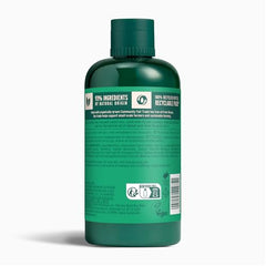 The Body Shop Tea Tree Purifying and Balancing Shampoo foaming lather on hair for oily scalp.