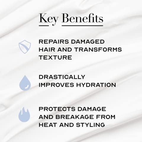 The Cleanest Lab mask on damp hair yields silky, manageable shine.