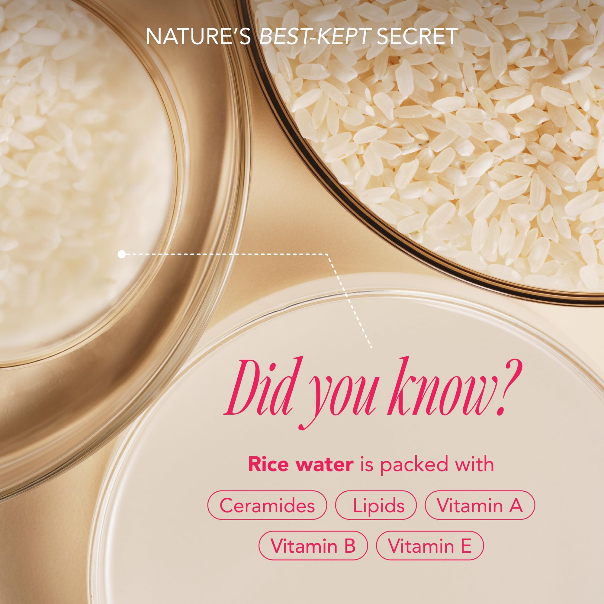 The Face Shop Rice Water Bright cleansing oil mini dissolves makeup gently.