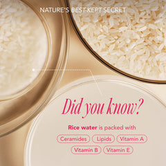 The Face Shop Rice Water Bright cleansing oil mini dissolves makeup gently.