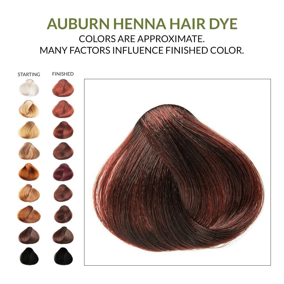 The Henna Guys auburn hair color close-up reveals rich tone and subtle shine.