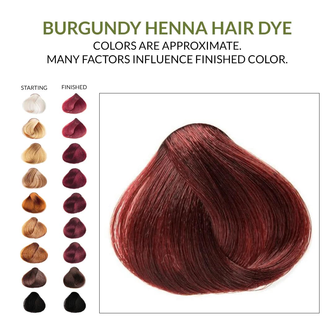 The Henna Guys burgundy dye applied to beard for natural coverage.