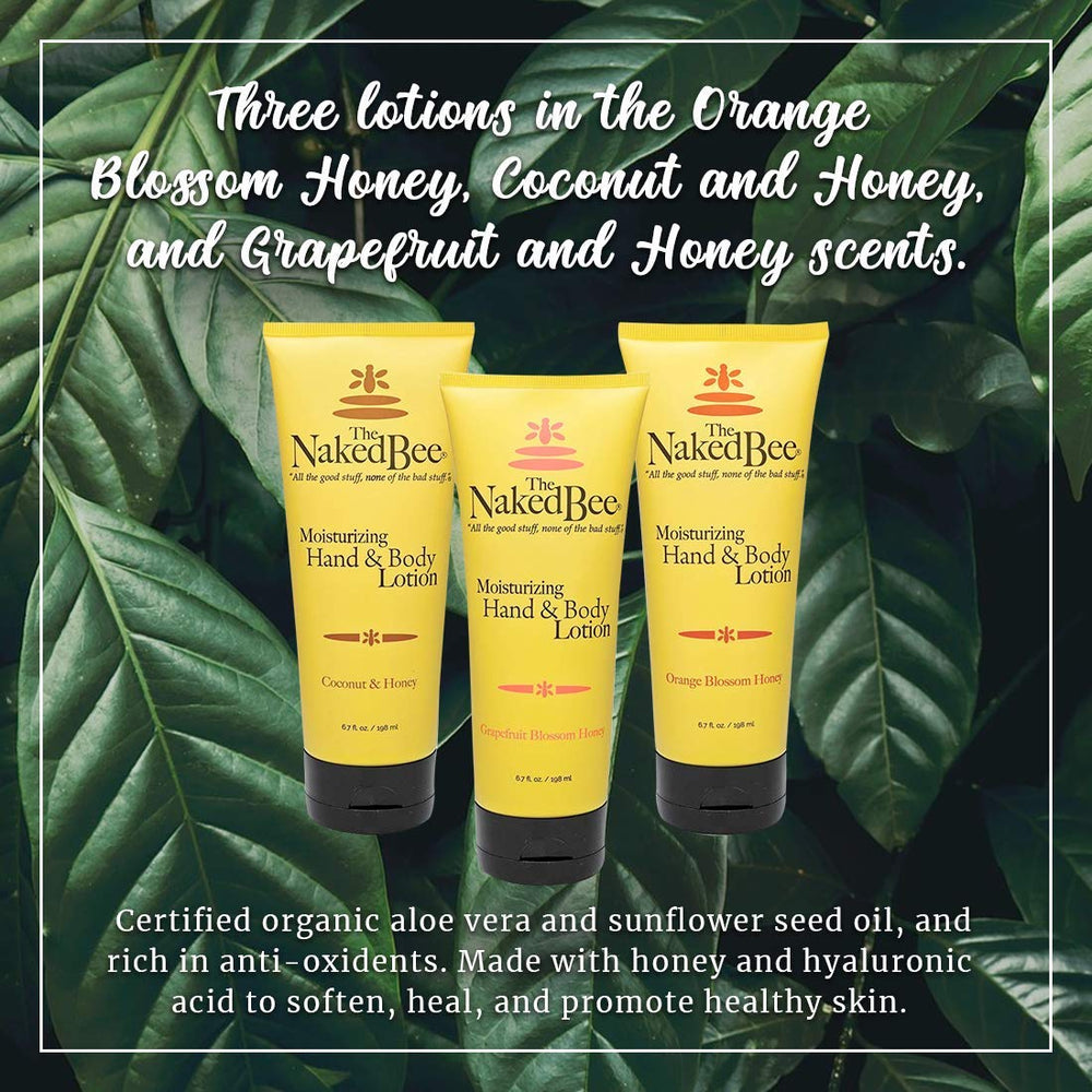 The Naked Bee grapefruit blossom honey hand lotion tube with citrus lift.