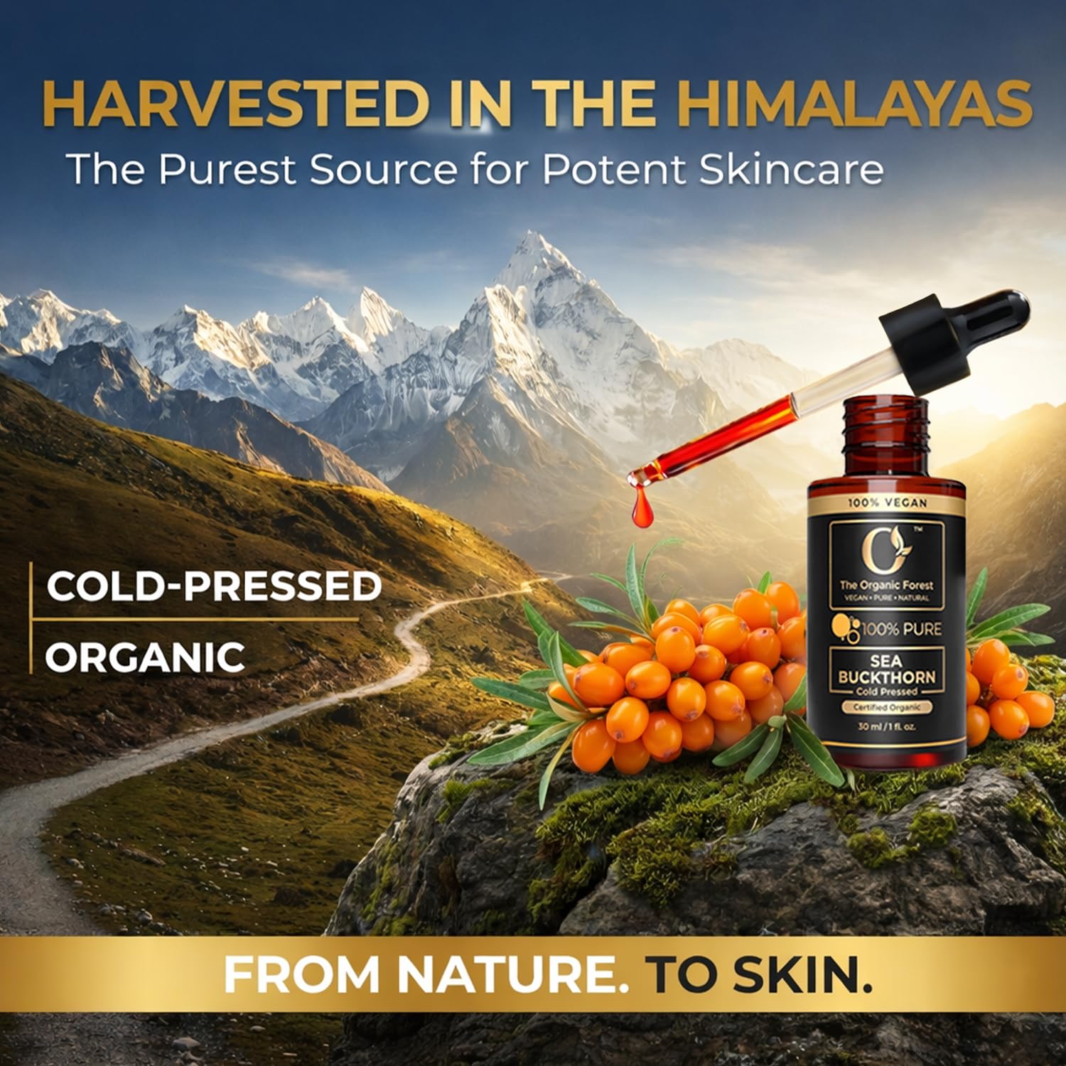 The Organic Forest Sea Buckthorn Oil enhances gua sha slip