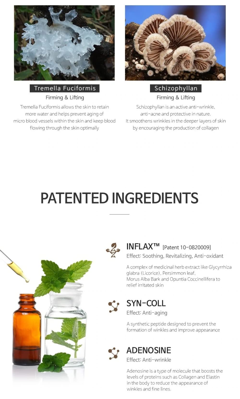 The Plant Base Time Stop Collagen Ampoule in daily skincare ritual