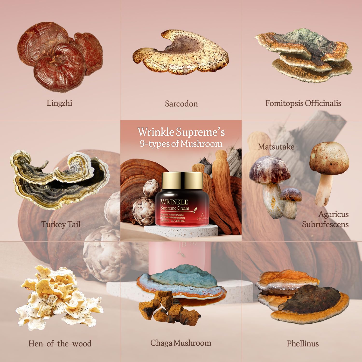 The Skin House Wrinkle Supreme Cream texture swatch demonstrates smooth absorption.