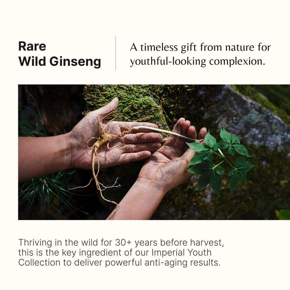 Wild ginseng and antioxidant botanicals are featured in THE WHOO Imperial Youth Cream ingredients.