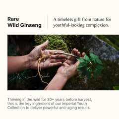 Wild ginseng and antioxidant botanicals are featured in THE WHOO Imperial Youth Cream ingredients.