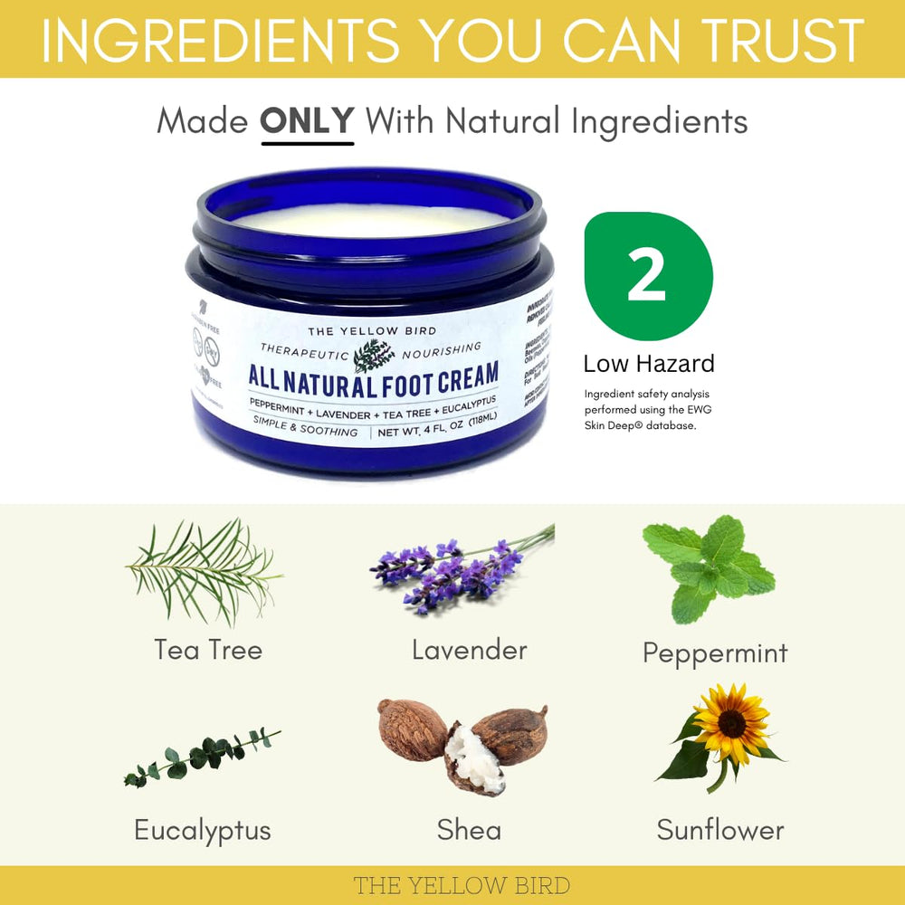 The Yellow Bird organic-ingredients collection showcases natural oils powering nourishment.