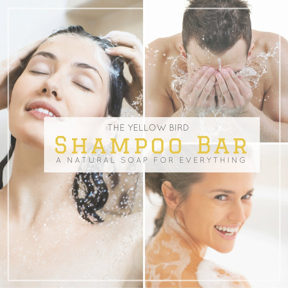The Yellow Bird solid bar shampoo lather test demonstrates gentle cleansing.