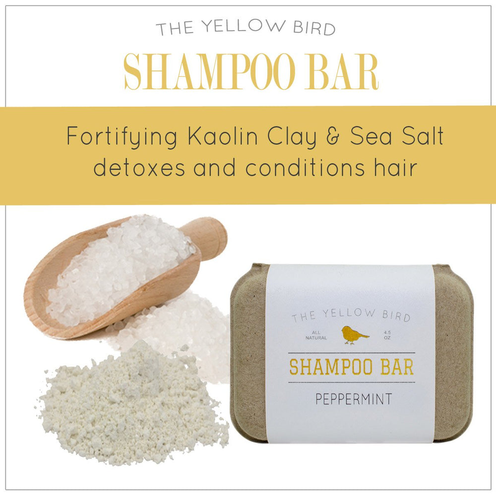 The Yellow Bird solid bar shampoo travel box ready for on-the-go routines.