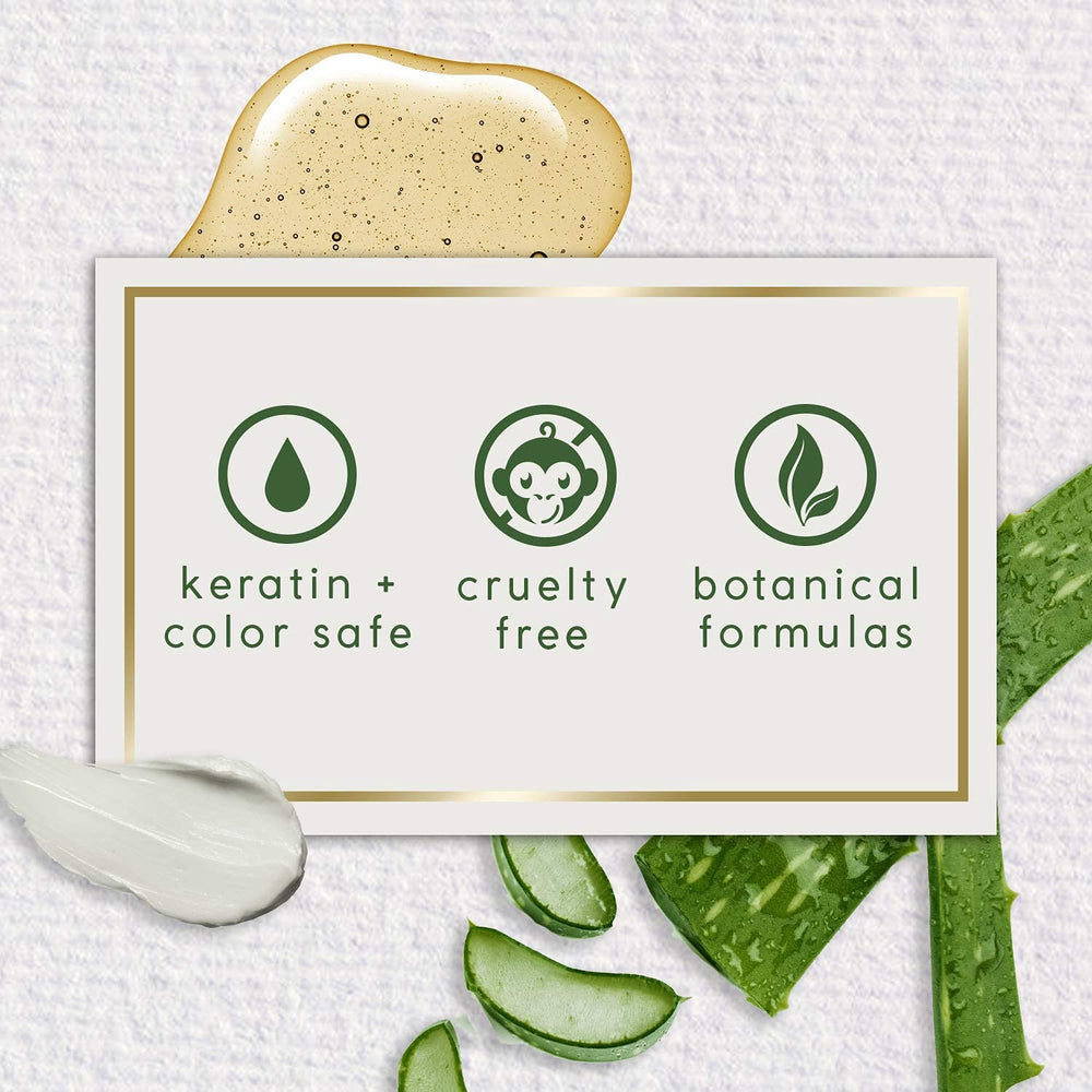 Theorie Shampoo close-up shows white charcoal particles for impurity absorption.