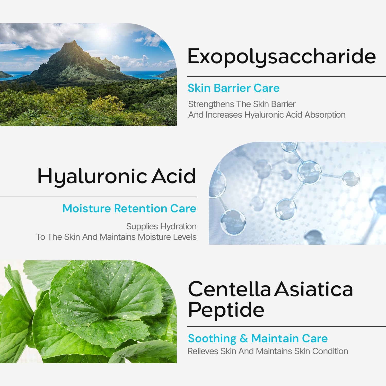tHermoCEUTICAL Max HydraPlus+ Serum hyaluronic acid graphic illustrating moisture boost.