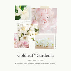 Gardenia with rose and jasmine hints representing Thymes Goldleaf scent