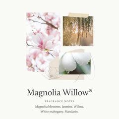 Thymes Magnolia Willow fragrance notes with magnolia and mandarin during handwashing.
