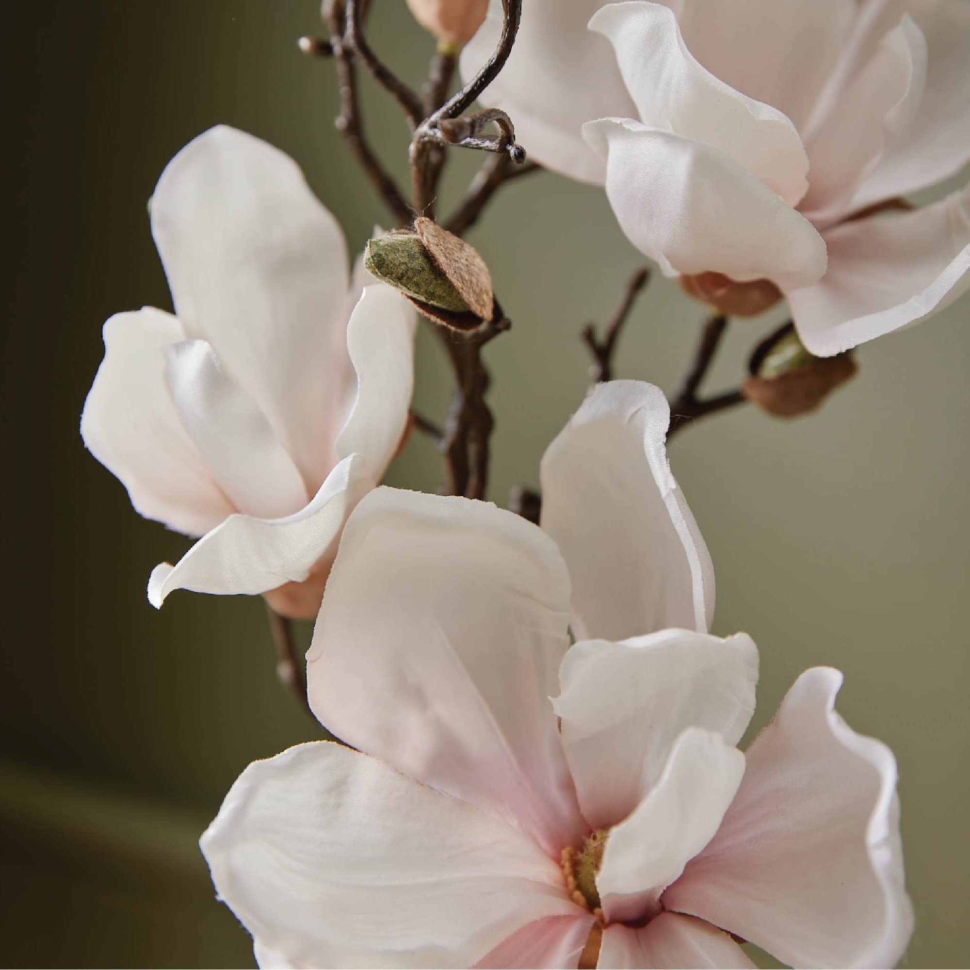 Foamy lather from Thymes Magnolia Willow hand wash highlighting airy texture.
