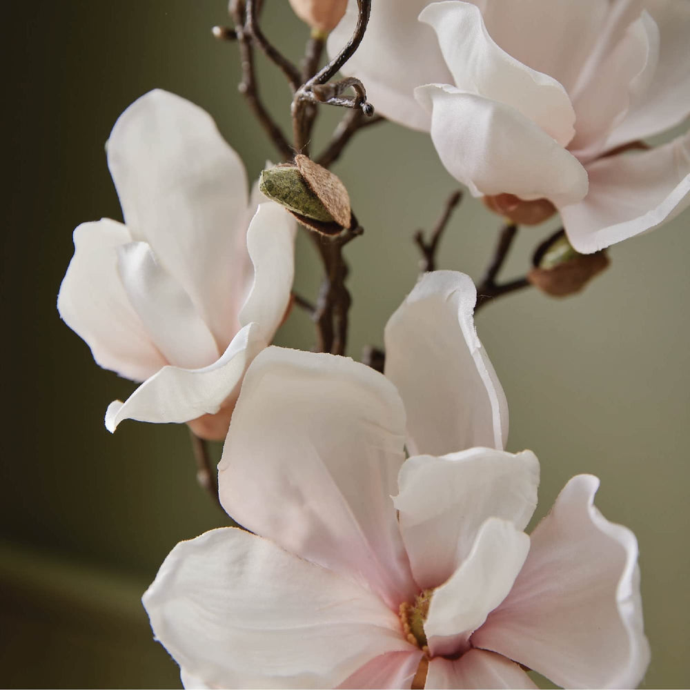 Foamy lather from Thymes Magnolia Willow hand wash highlighting airy texture.