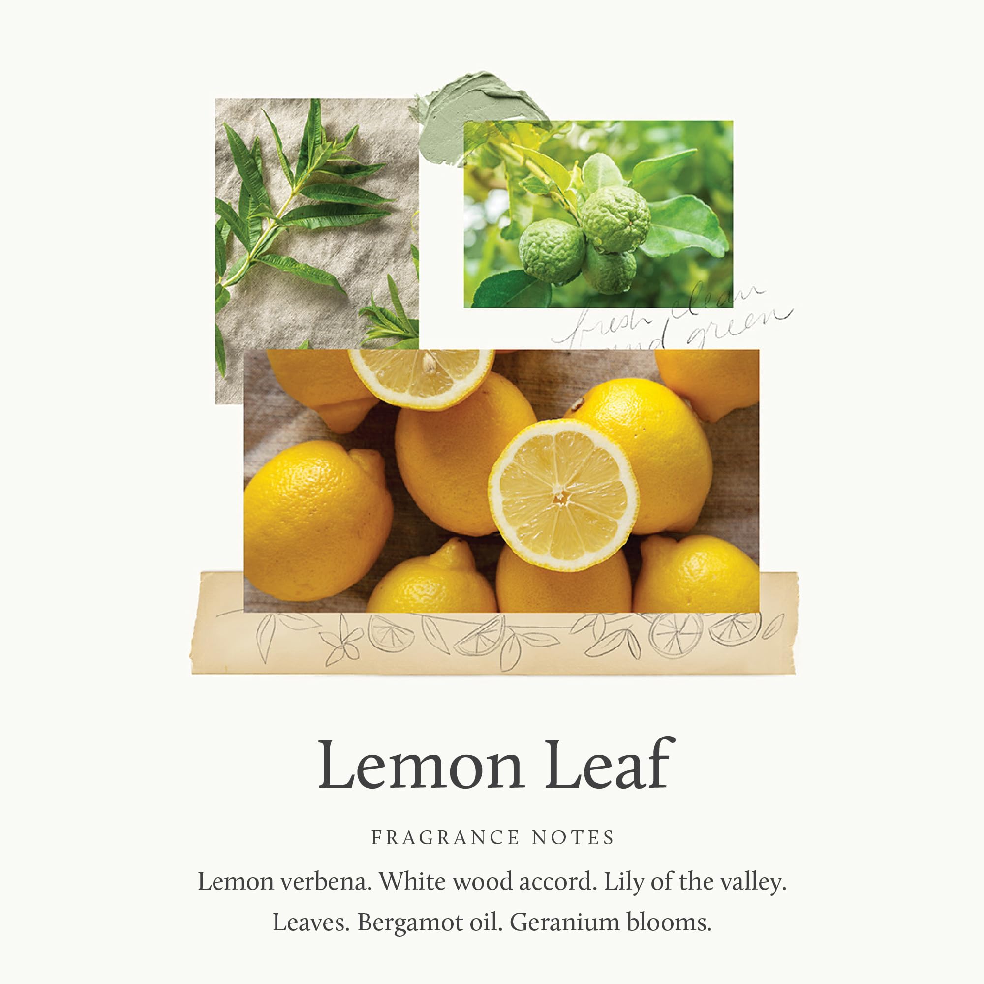Thymes natural ingredients label emphasizing plant-based formula.