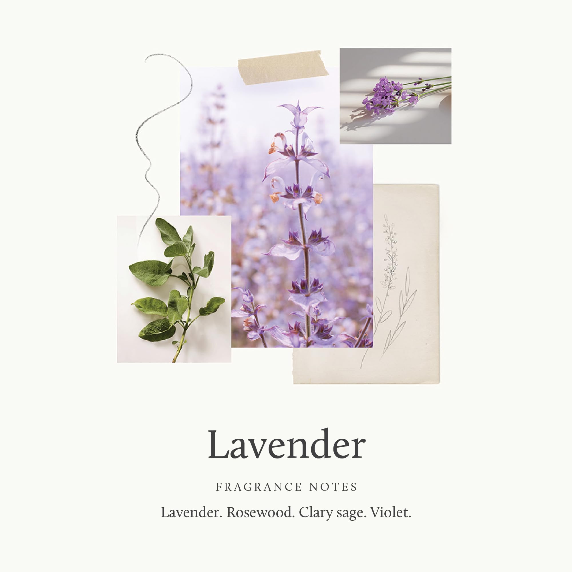 Lavender fragrance of Thymes Nourishing Body Cleanser in action
