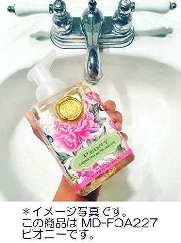 TIMOTHY OF ST LOUIS Country Life foaming hand soap pump dispensing quickly