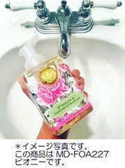 TIMOTHY OF ST LOUIS Country Life foaming hand soap pump dispensing quickly