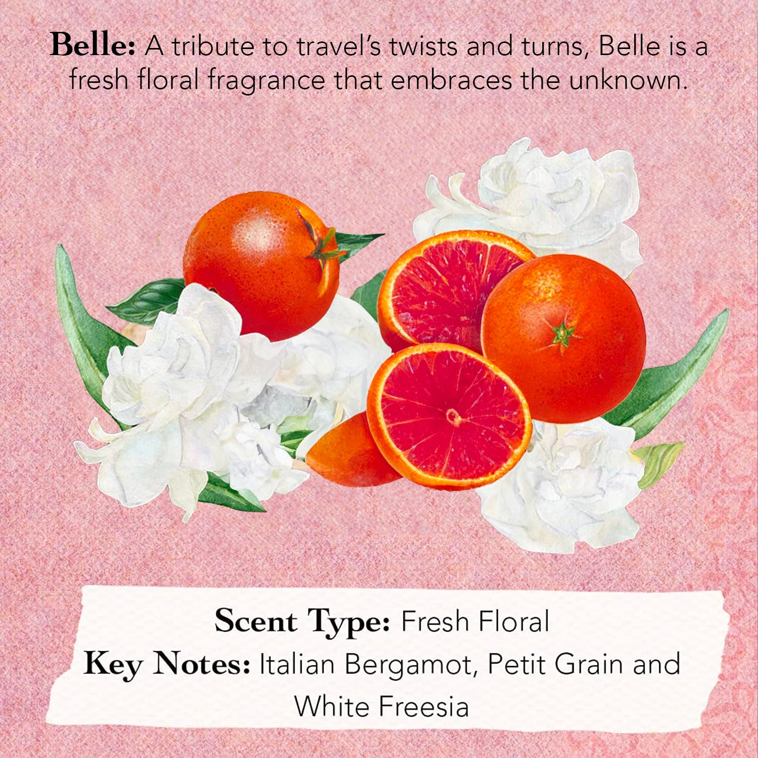 TOCCA Discovery Set box shows eight travel-friendly fragrance vials