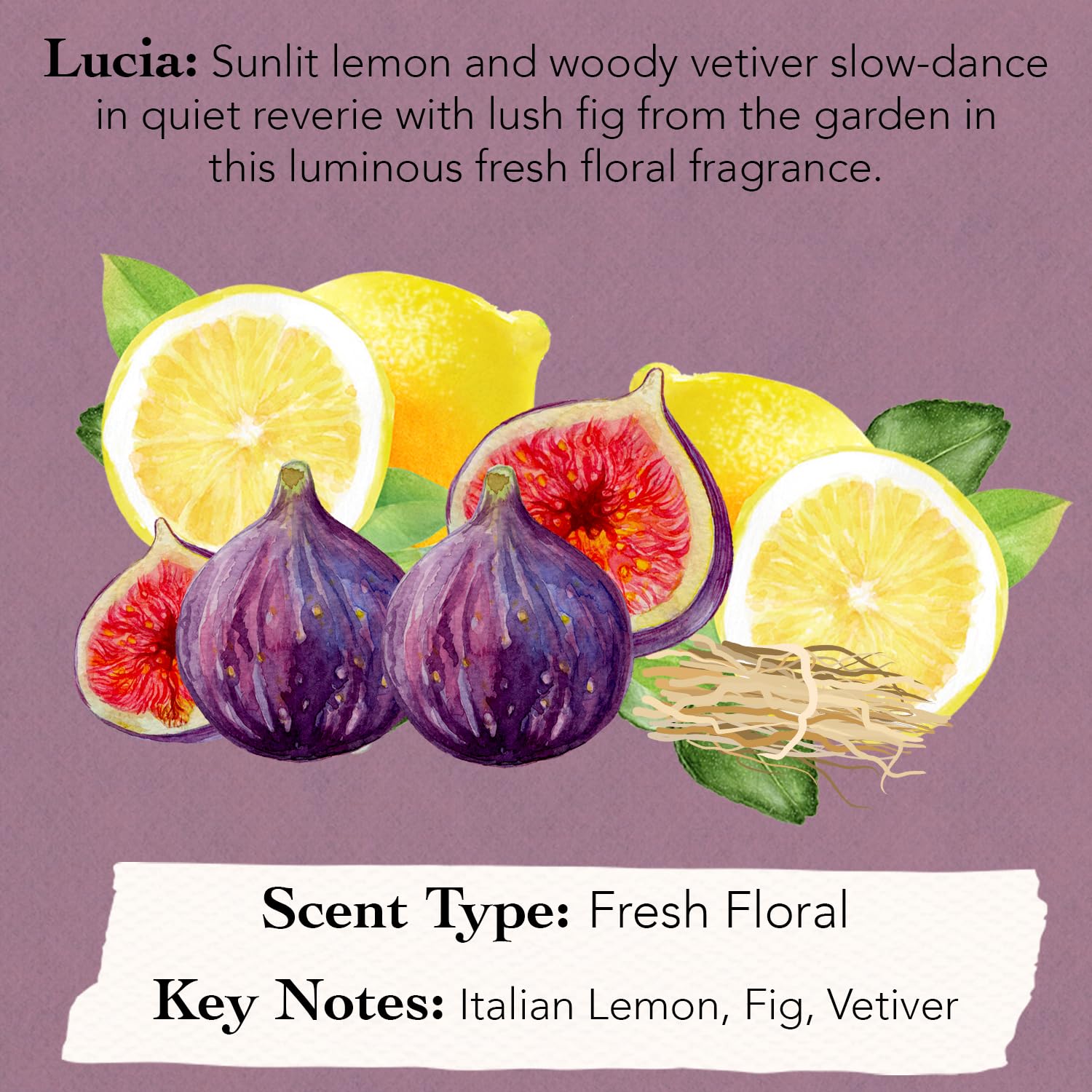 TOCCA Lucia mini perfume sample for travel-ready testing