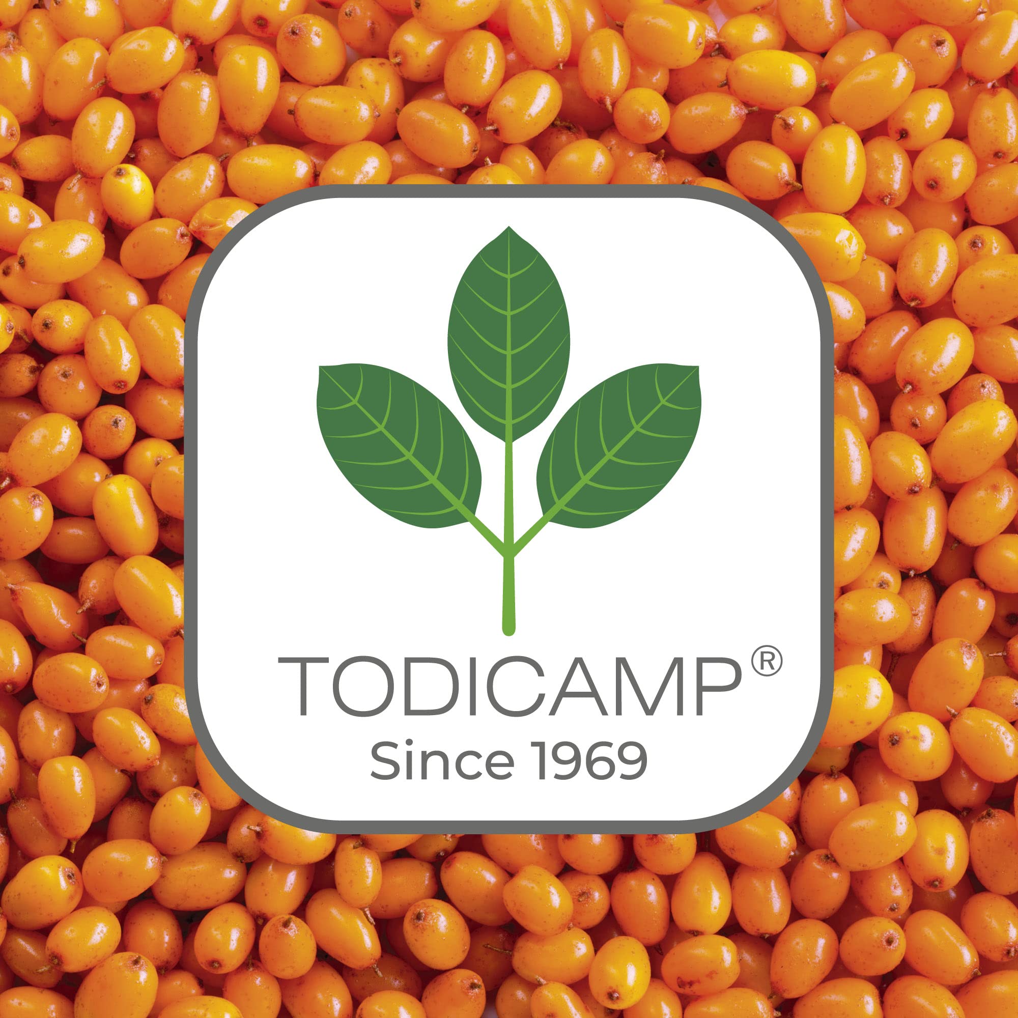 Todicamp Sea Buckthorn Oil Organic bottle beside berries for nutrition