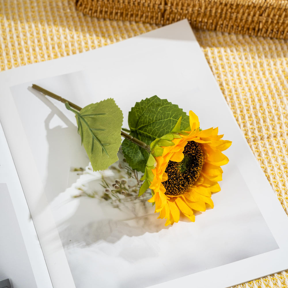 TOYIYAR gift-ready ribbon and presentation for a thoughtful delivery