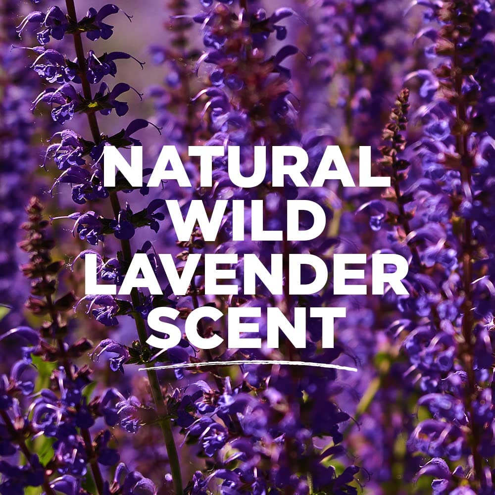 Lavender fragrance oils provide a lasting, pleasant scent from Tom's of Maine.